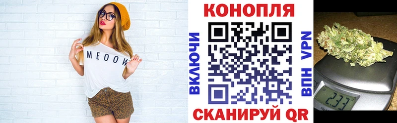 Купить закладку Alpha-PVP  МЕФ  Каннабис  COCAIN  Ивангород