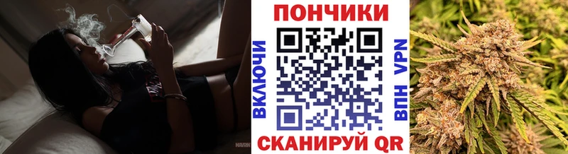 Купить закладки  Ивангород  Шишки марихуана план 