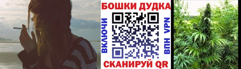 Бошки Шишки планчик Ивангород